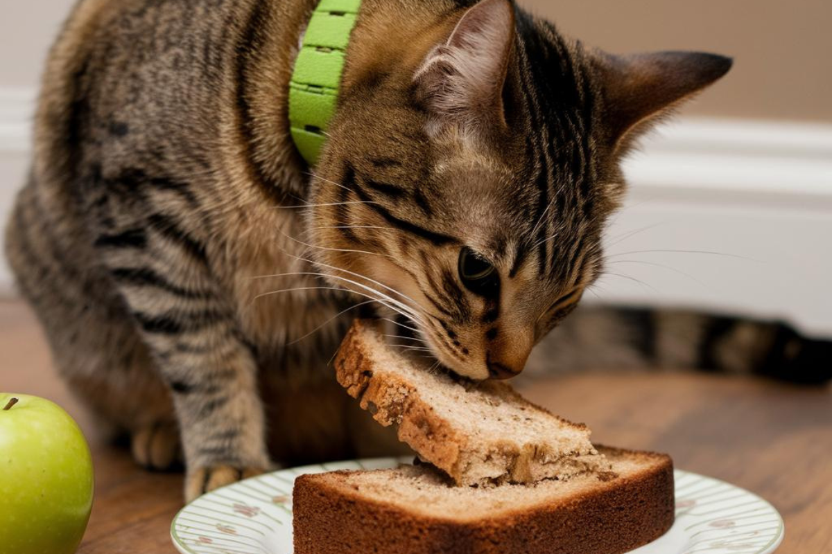 Can Cats Eat Banana Bread? All You Need to Know